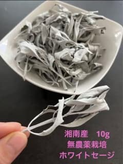 湘南産　自家自然栽培　ホワイトセージ　10gのサムネイル