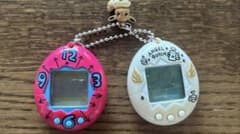 【ジャンク品】たまごっち＆てんしっちのたまごっちのサムネイル