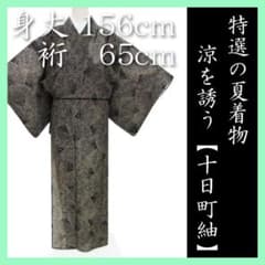 裄65cm 涼やかな【夏大島紬】 夏らしい‟艶やかな装い”に… 美品のお