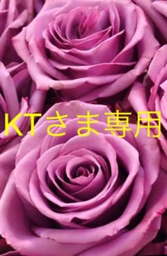 KTさま専用Eのサムネイル