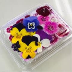 無農薬エディブルフラワーミックス20輪のサムネイル