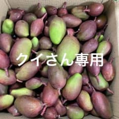 摘果マンゴー5kgのサムネイル