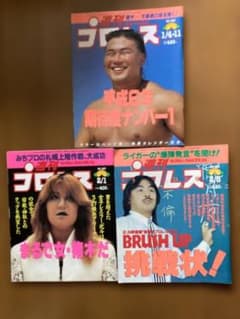 週刊プロレス 3冊セット No.589 No.597 No.598のサムネイル
