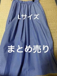 スカートとワンピ　新品のサムネイル