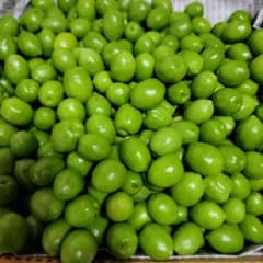 香川県産オリーブの実(無農薬)約１.３kg ①のサムネイル