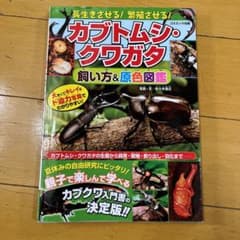長生きさせる! 繁殖させる! カブトムシ・クワガタ飼い方&原色図鑑のサムネイル