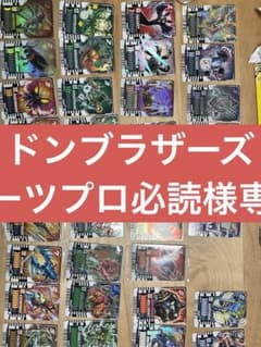 ドンブラザーズ　ギーツプロ必読様専用のサムネイル