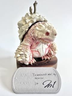 gray turtole カミツキガメ フィギュア グレイタートル 羅本製所 gray turtle カミツキガメ フィギュア グレイタートル 羅本製所 - メルカリ