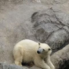 確認用のサムネイル