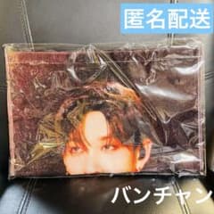 Stray Kids スキズ　ライブフォトタオル　バンチャンのサムネイル