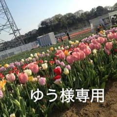 シリアルナンバー 4ポイントのサムネイル