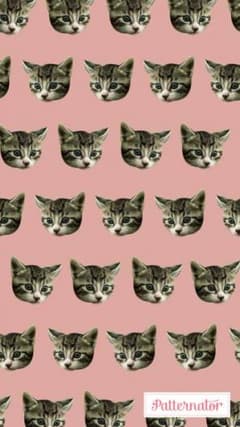 とーも様専用になります(^ ^)のサムネイル