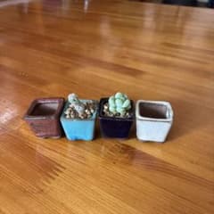 ミニ盆栽鉢 4個セット 植木鉢 多肉植物のサムネイル