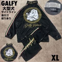 美品 GALFY 大型犬 ジャージ セットアップ サイドライン 金ロゴ XL