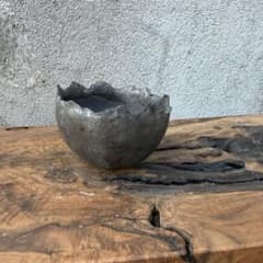 手作植木鉢 グラデーション植木鉢（ 塊根植物 グラキリス パキプス アガベ) Z*0様 手作植木鉢 グラデーション植木鉢（ 塊根植物 グラキリス