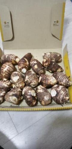 里芋1キロのサムネイル