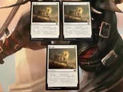 MTG 儚い存在 日本語 3枚 - メルカリ