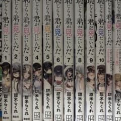 恥じらう君が見たいんだ 1-10巻＋フルカラー版2冊のサムネイル