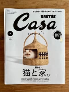 Casa BRUTUS 2022年6月号 猫と家のサムネイル