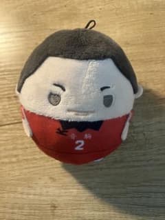 푹신한 콜로린 하이큐!! 카이신행