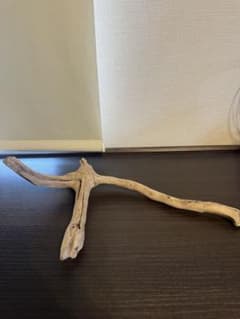 天然流木 約30cm 一点物 アクアリウム テラリウム インテリアのサムネイル