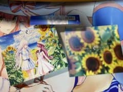 「Summer Pockets」Original SoundTrackのサムネイル