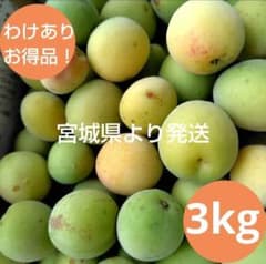 わけあり梅・中粒〜小粒ふぞろい3kg／農薬不使用のサムネイル