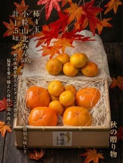 柿とみかんセット、種無し柿4こと山北みかん500grのサムネイル