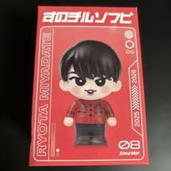 匿名配送 SnowMan 宮舘涼太 すのチル ソフビ 舘様 DomeTourON - メルカリ