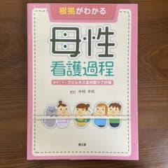 根拠がわかる母性看護過程 事例で学ぶウェルネス志向型ケア計画のサムネイル