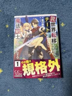 異世界転移したのでチートを生かして魔法剣士やることにする 1巻 小説のサムネイル