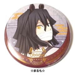 鬼滅の刃 干支 2026 午年 箔押し缶バッジ 伊黒小芭内 - メルカリ