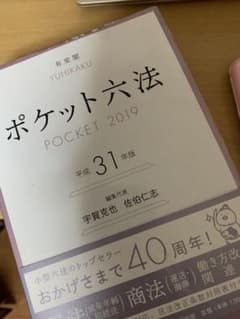 ポケット六法 平成31年版のサムネイル