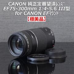 極美品CANON純正定番望遠レンズ EF75-300mm f/4-5:6III型 - メルカリ