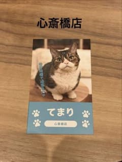 にゃんず名刺　猫カフェmocha 心斎橋店　てまりのサムネイル