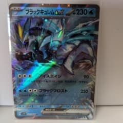 ブラックキュレムex RR SV7a 楽園ドラゴーナ 011/064 - メルカリ
