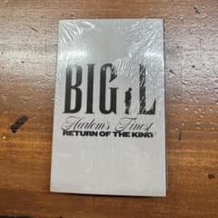 新品未開封　BIG L: Harlem's Finestのサムネイル