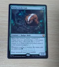 アナグマモグラの仔　Badgermole Cub アバター 伝説の少年アンのサムネイル
