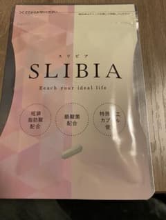 スリビア 乳酸菌酪酸菌 30粒のサムネイル