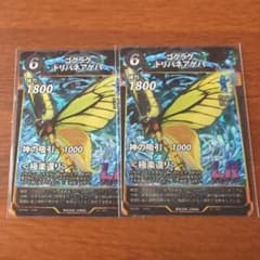 蟲神器 ゴクラクトリバネアゲハ 2枚 - メルカリ