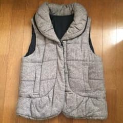 最終価格！ジーナシス ダウンベストのサムネイル
