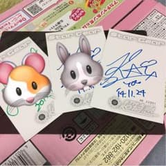 、カイ、 サイン 即購入可のサムネイル