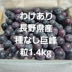 わけあり長野県産種なし巨峰粒1.4kgのサムネイル