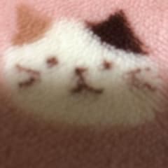 専用ですのサムネイル