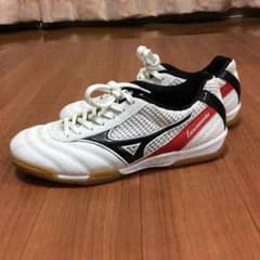 087hanasap様 専用 MIZUNOのサムネイル