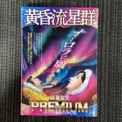 黄昏流星群　プレミアム　「オーロラ星空シンデレラ」のサムネイル