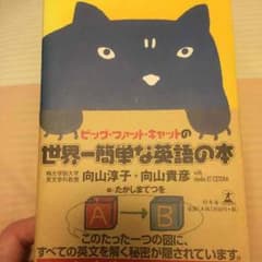 送料込★世界一簡単な英語の本のサムネイル
