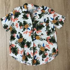 ANAPのサムネイル