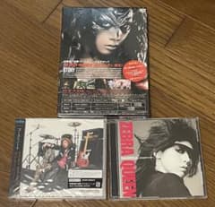 仲里依紗　ゼブラーマンII ゼブラシティの逆襲　DVD CD まとめ売り