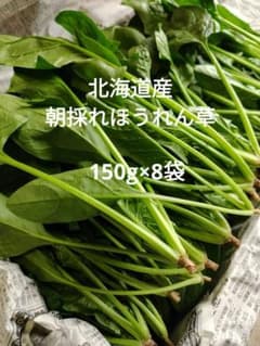 ほうれん草 1.2kgのサムネイル